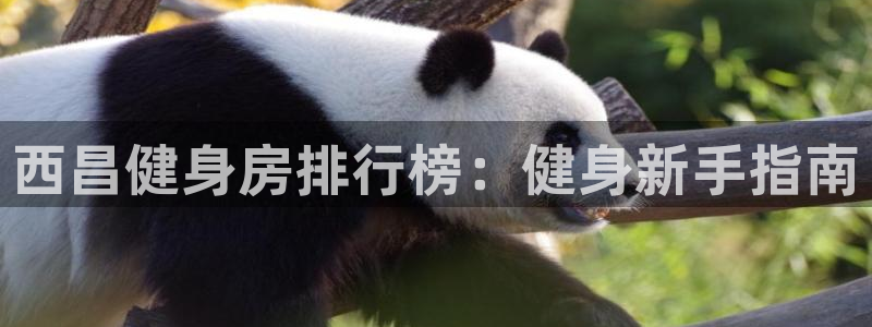 意昂2登录
