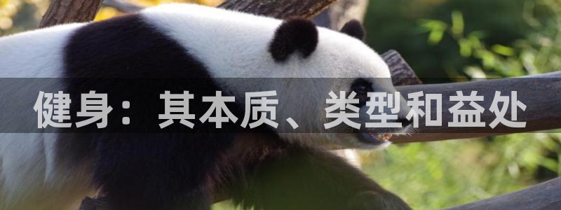 意昂2注册