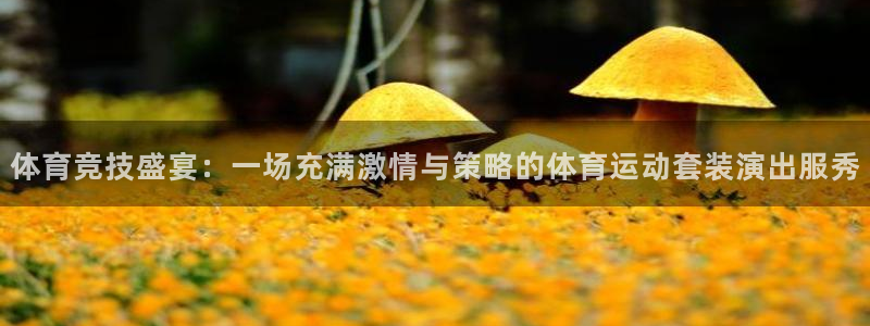 3377体育app官网下载地址