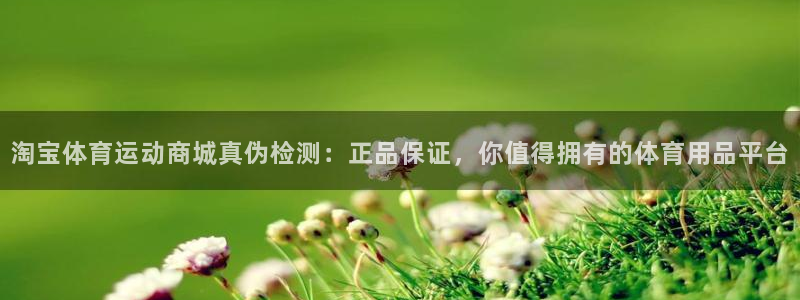 3377体育app官网下载地址