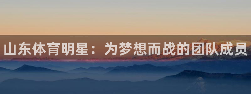 3377体育全网