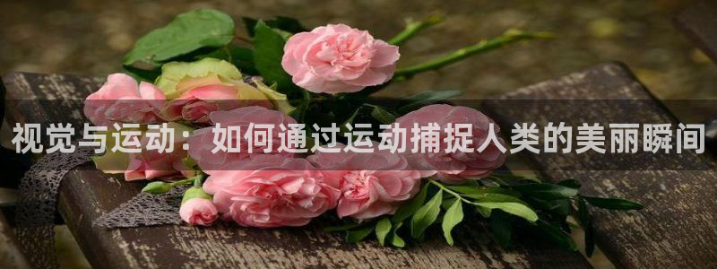 3377体育