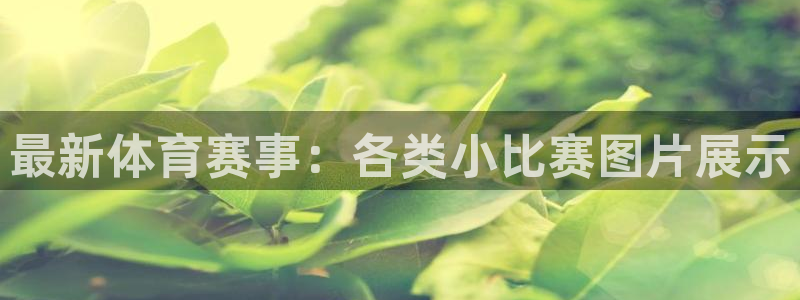 3377体育官网