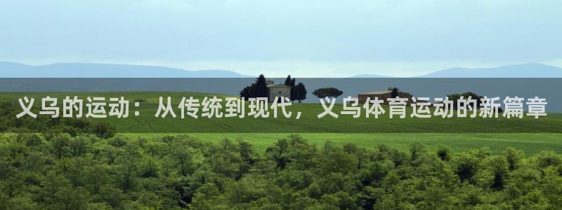 3377体育全网