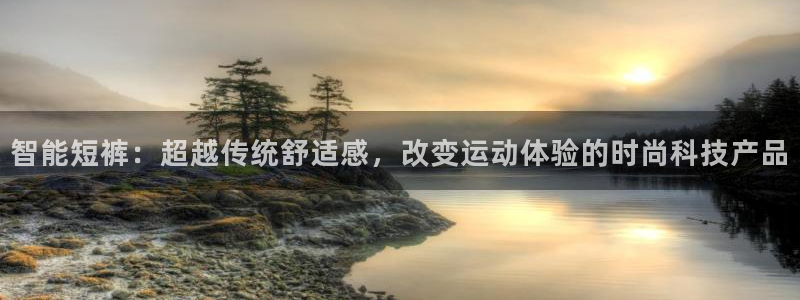 3377体育官网