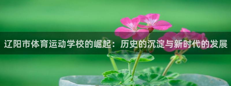 3377体育官方app下载