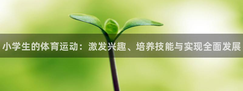 3377体育app官方下载
