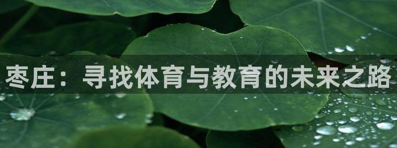 3377体育手机平台