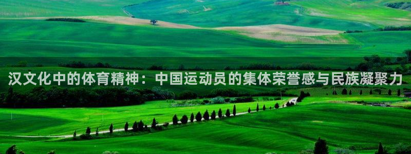 3377体育app官方下载