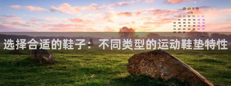 3377体育中国官方网站入口