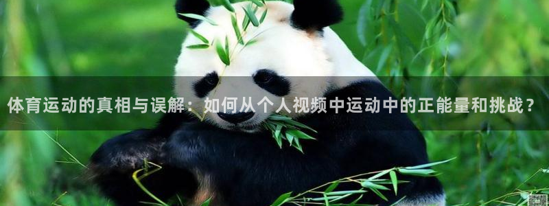 3377体育app官网下载地址