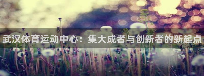 3377体育官方app下载