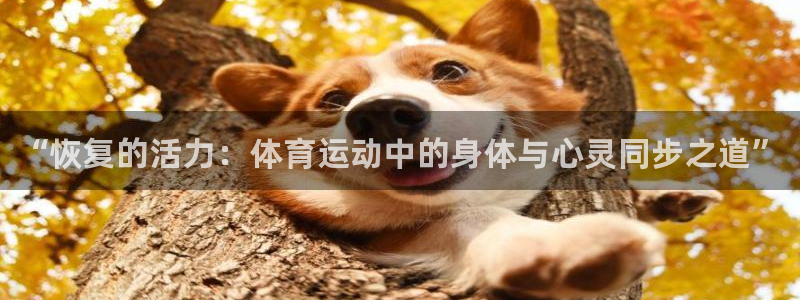 3377体育是正规平台吗