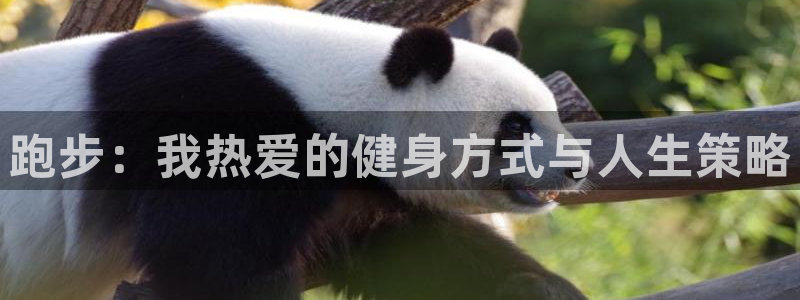 3377体育全网