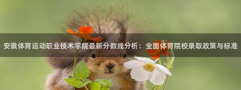3377体育全网