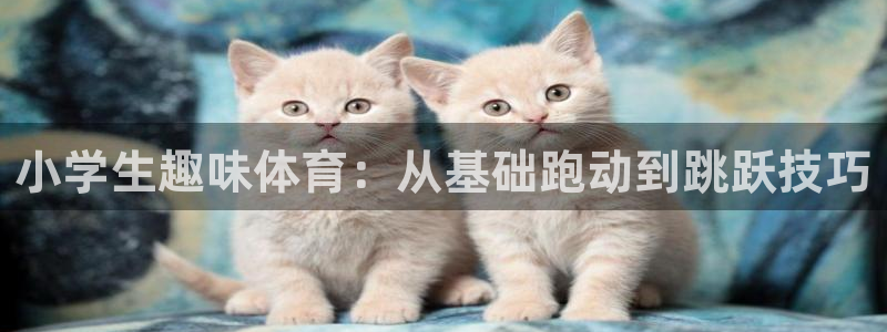 3377体育app下载安装