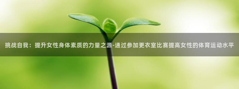 3377体育官网入口下载最新