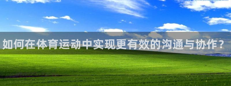 3377体育是正规的吗