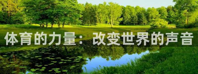 3377体育app登录入口