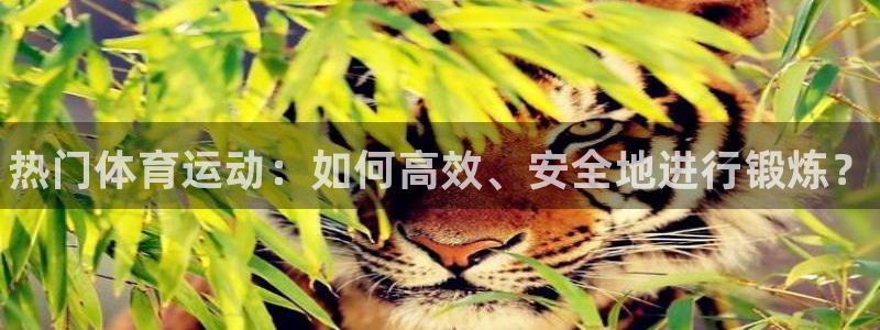 3377体育app官方下载
