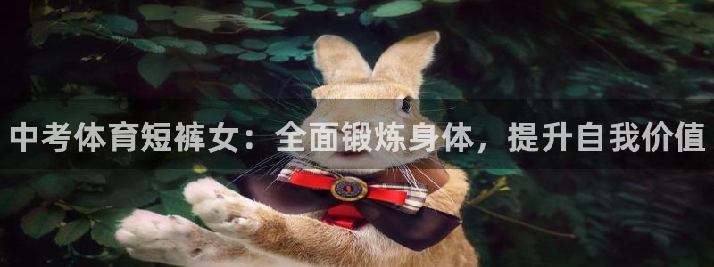 3377体育网页登录入口