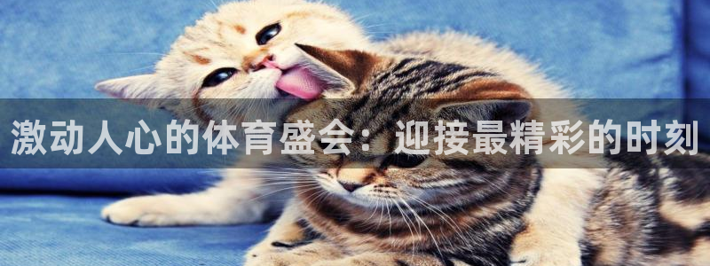 3377体育(中国)官方网站