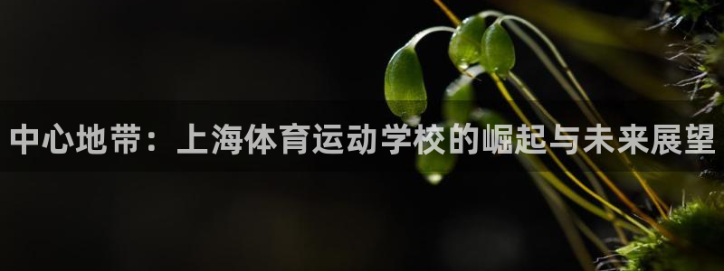 3377体育app官方下载