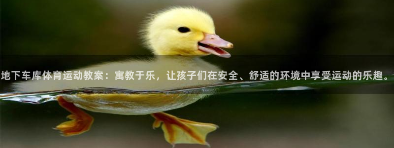 3377体育全网