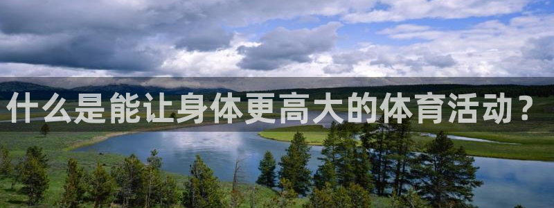 3377体育在线