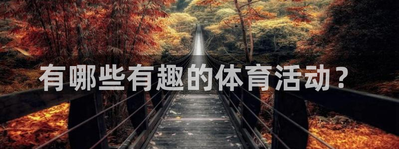 3377体育官网