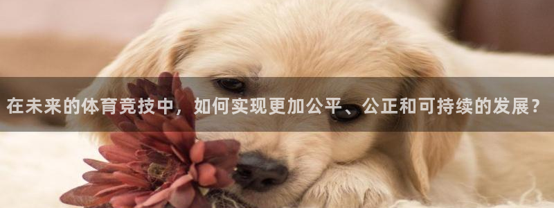 3377体育靠谱吗