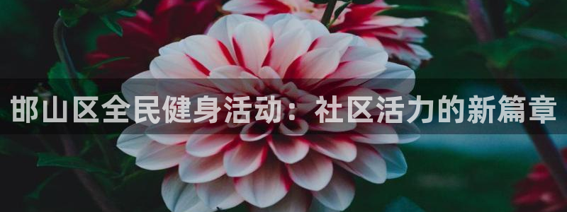 3377体育全网