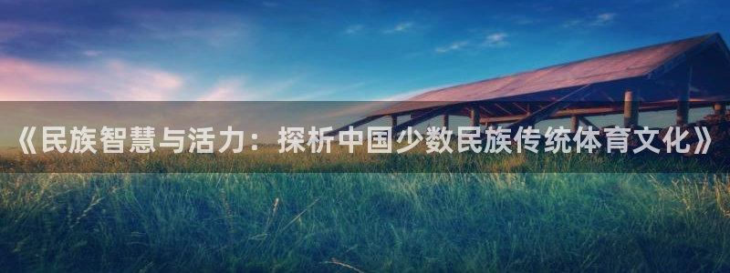 3377体育app登录入口