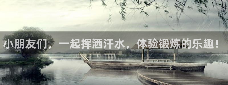 3377体育官网入口网页版