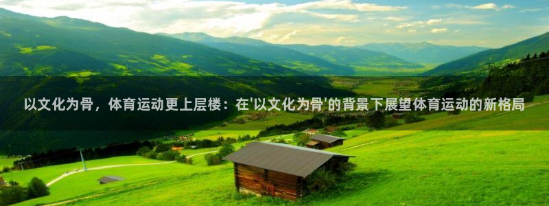 3377体育app下载安装