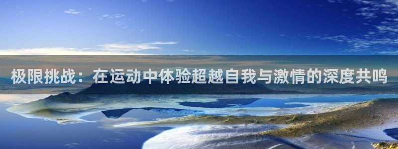 3377体育官网入口网页版