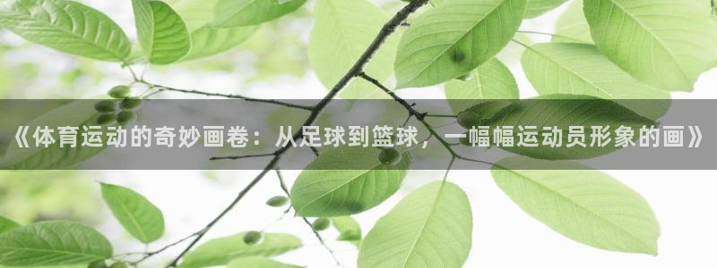 3377体育官网