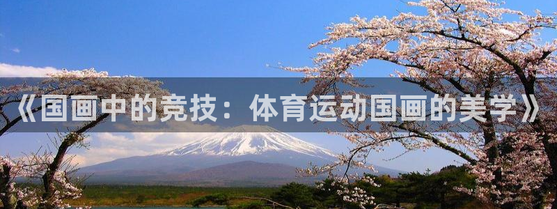 3377体育是正规平台吗