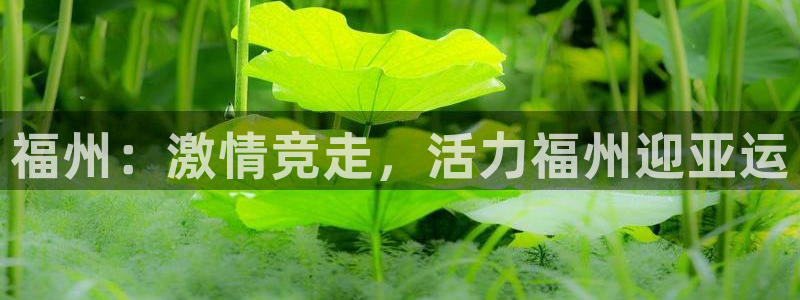 3377体育是正规平台吗