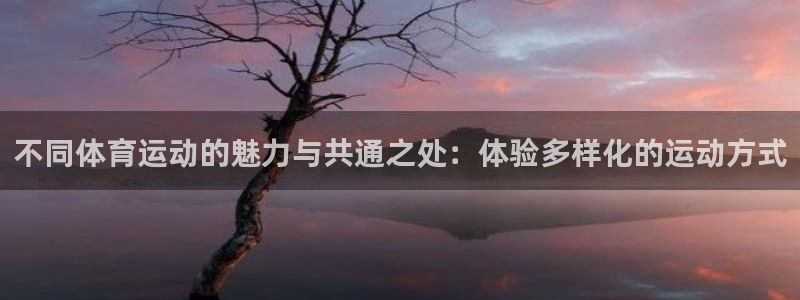 3377体育手机平台