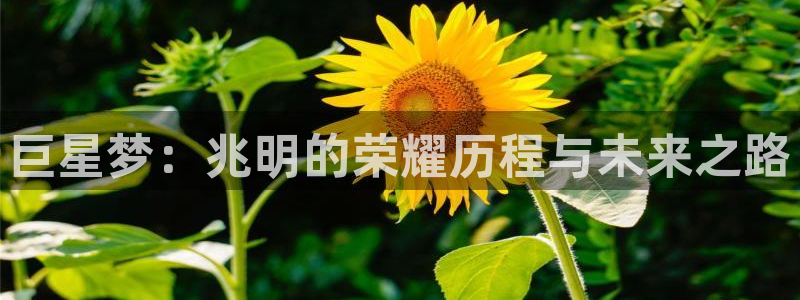 3377体育官网入口下载最新